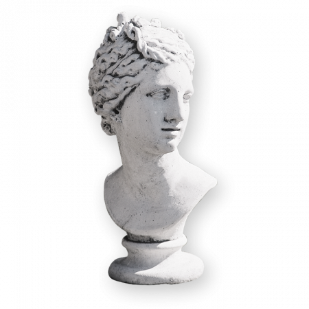 Busturi si Piedestale - Bust Paolina