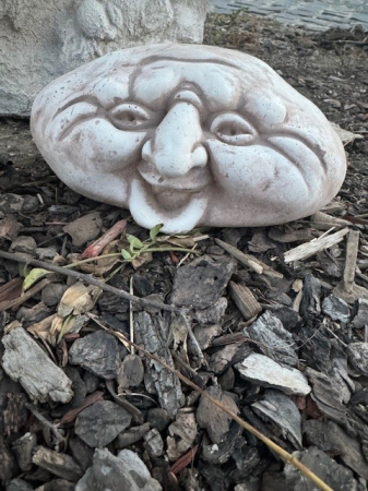 Decoratiune Fata Model 2 [2]