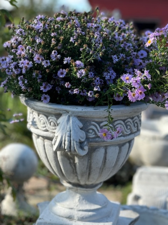 Ghivece si Vaze - Ghiveci FLori Coppa