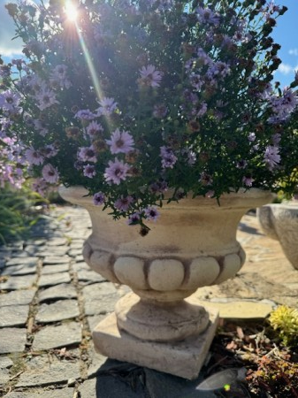 Ghivece si Vaze - Ghiveci Flori Romana