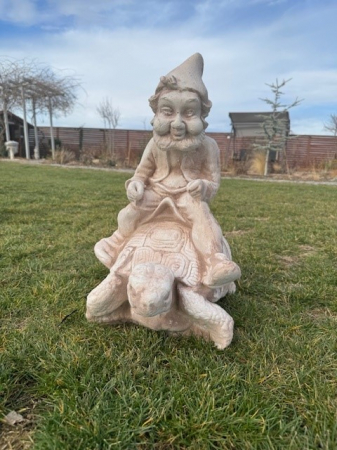 Pitic Bavarez pe Testoasa [2]