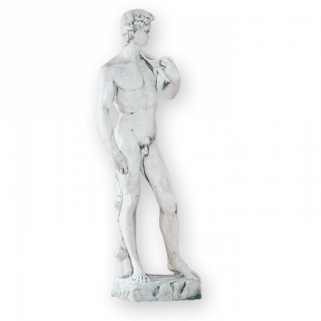 Statui Tematice - Statue David 2