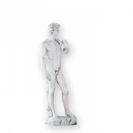 Statui Tematice - Statue David