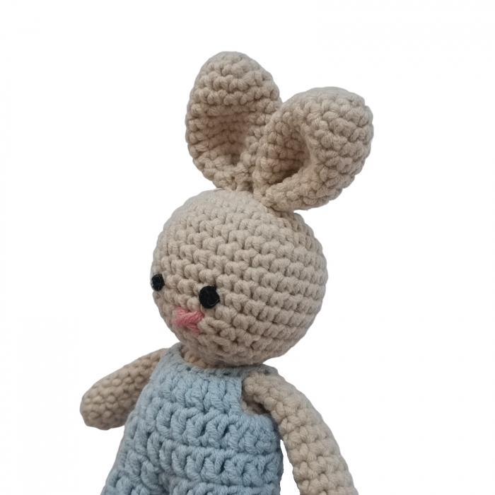 Iepure crosetat cu salopeta albastra [2]