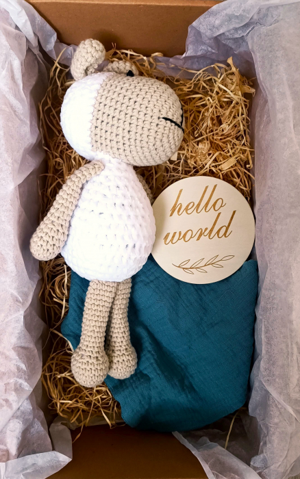 Set cadou - Jucarie crosetata Oaie - babetica albastru [1]