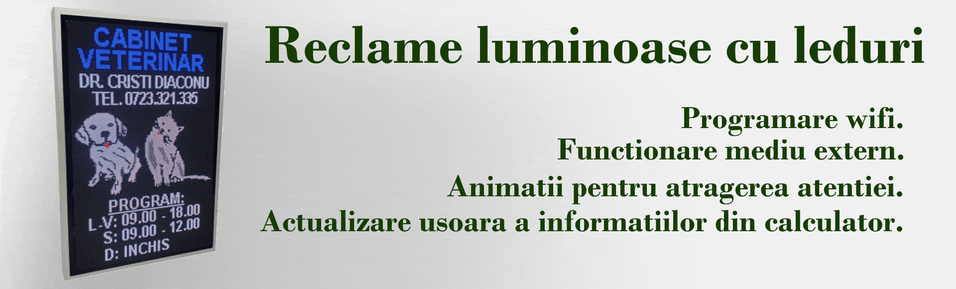 RECLAME LUMINOASE CU LEDURI