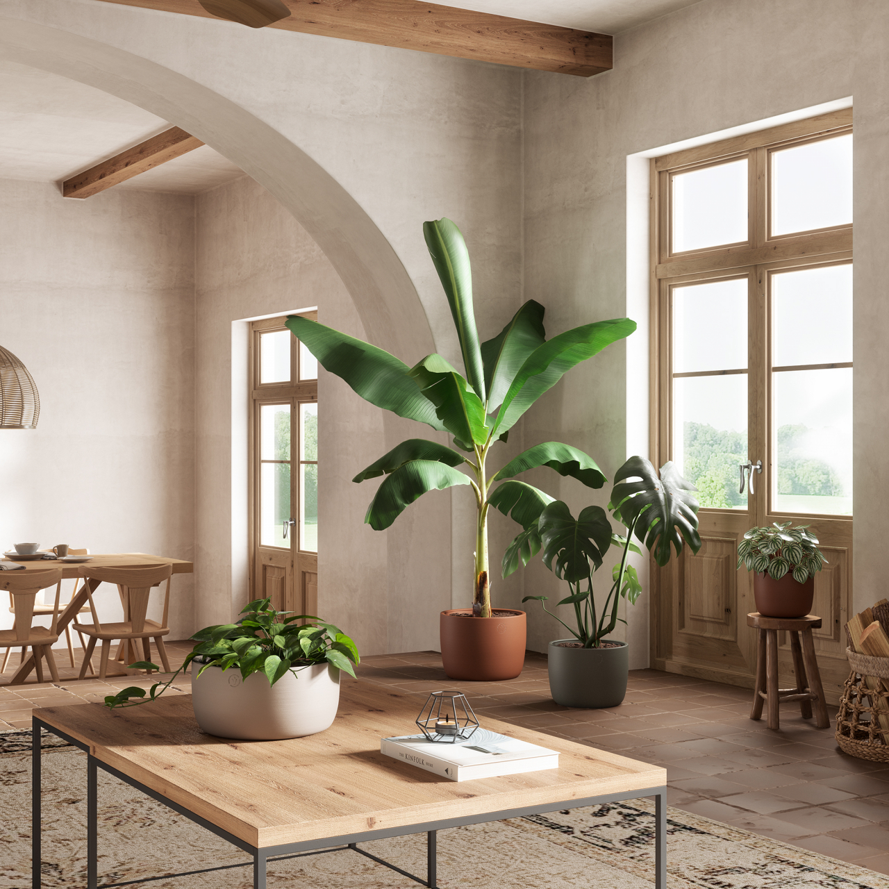 Ghiveci Urania Bowl [3]