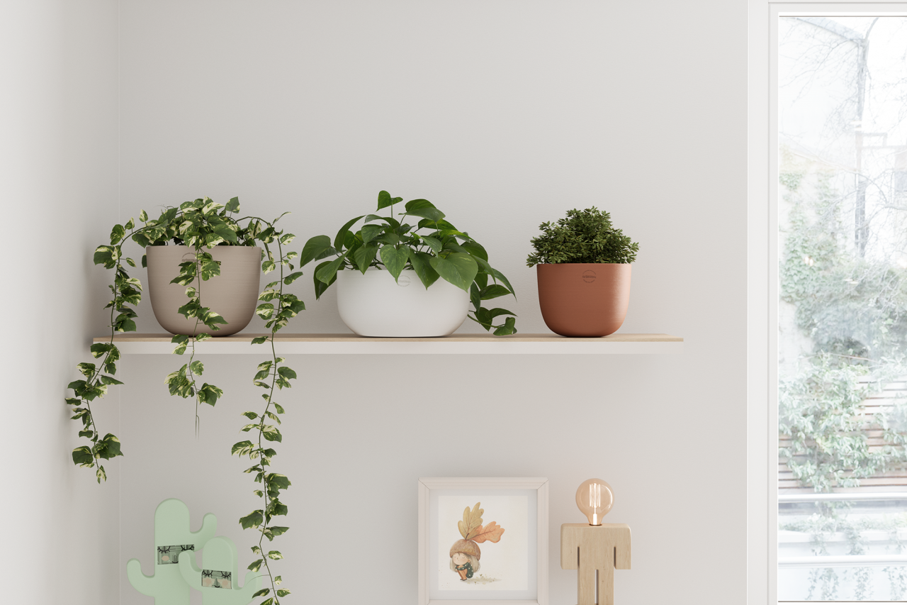 Ghiveci Urania Bowl [2]