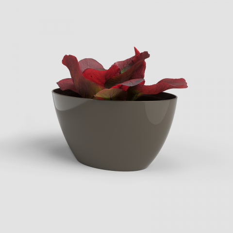 Ghivece - Ghiveci Barca