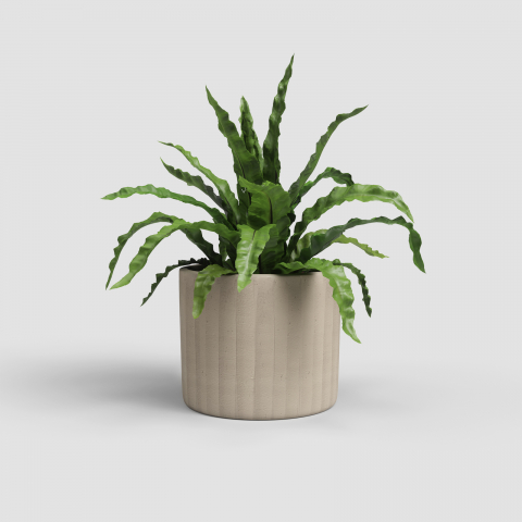 Ghivece Ceramică - Ghiveci Chloe