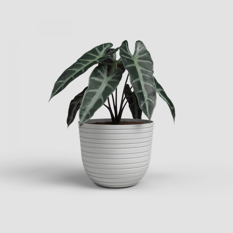 Ghivece Polipropilena - Ghiveci Havana Horizon