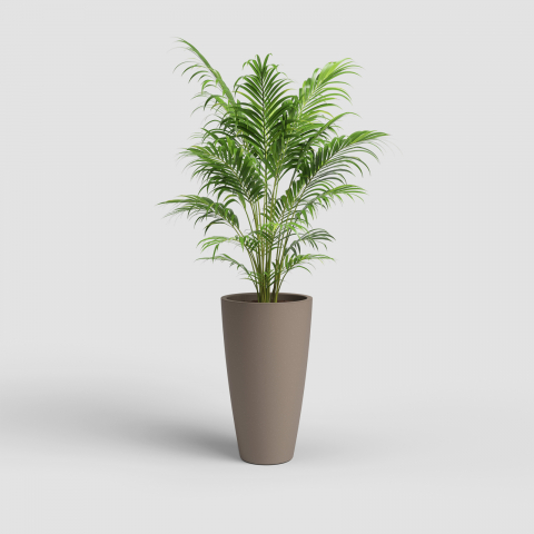 Ghivece - Ghiveci Havana Natural High