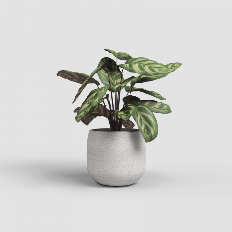 Ghivece Ceramică - Ghiveci Hemera
