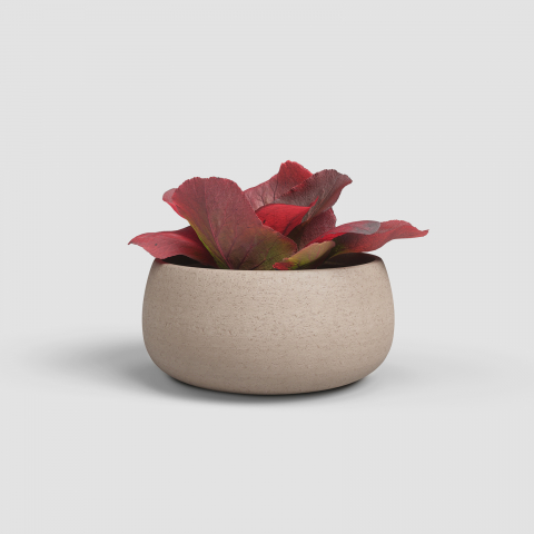 Ghivece Ceramică - Ghiveci Hemera Bowl