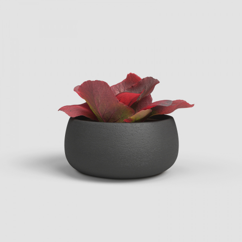 Ghivece - Ghiveci Hemera Bowl