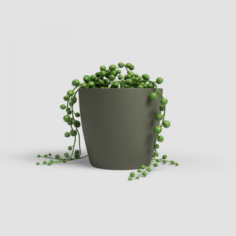 Ghivece - Ghiveci San Remo Matte