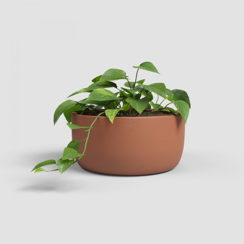 Ghivece Ceramică - Ghiveci Urania Bowl
