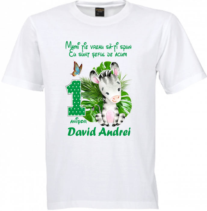 Tricouri Personalizate pentru Orice Ocazie [4]