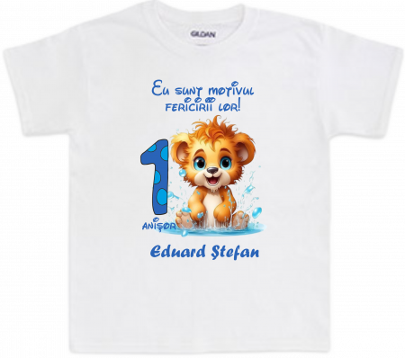 Tricouri Cu Mesaje Amuzante pentru Prieteni și Familie [4]