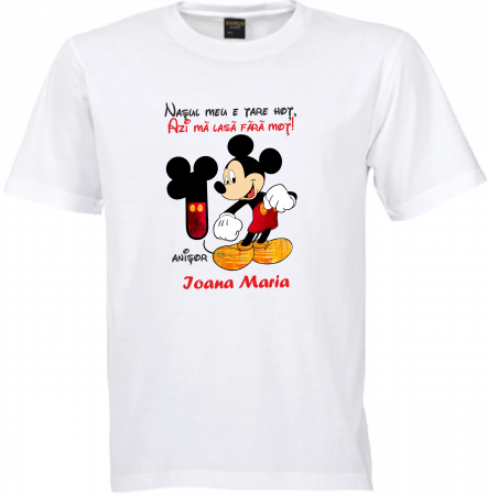 Tricouri de petrecere cu Minnie pentru un moț de neuitat [6]