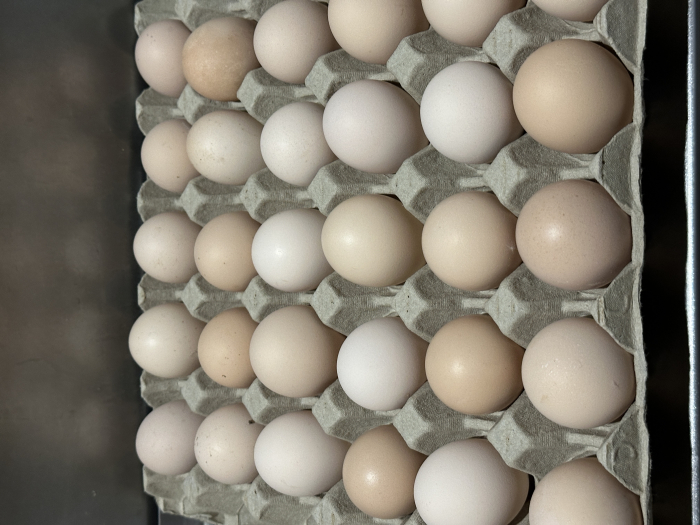 Ouă Free Range 30 M [1]