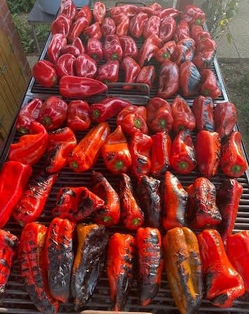 Conserve legume - Ardei kapia copt pe jar 500g