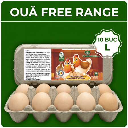 Produse - Ouă Free Range 10 L