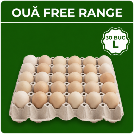 Produse - Ouă Free Range 30 L
