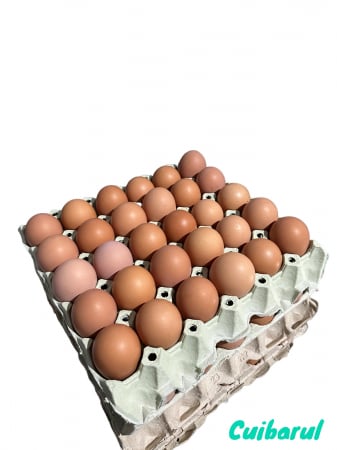 OUĂ CUIBARUL - Ouă Free Range 30 L