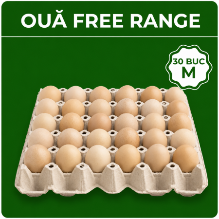 Produse - Ouă Free Range 30 M