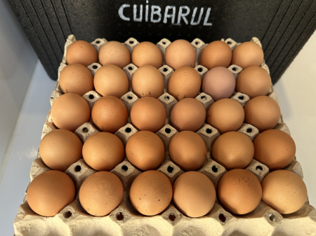 Produse - Ouă Free Range 30 XL