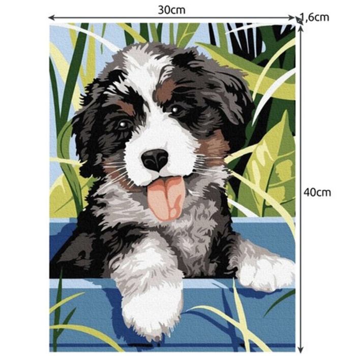 Pictură după numere 40×50 cm – Căţeluş în natură (set complet) [3]