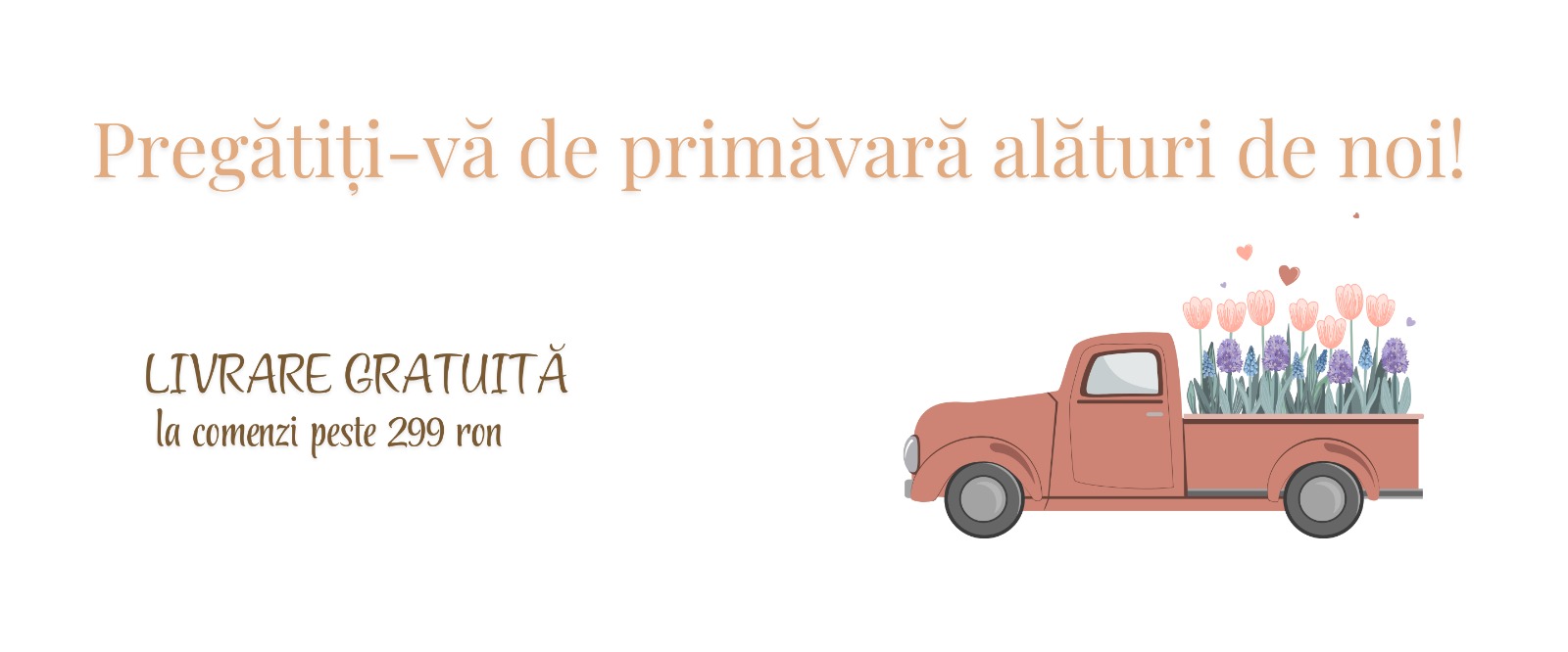 Comenzi