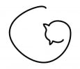 www.cutcat.ro