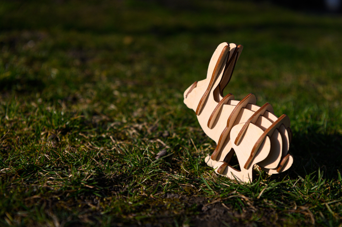 Iepurașul de Paști - Easter Bunny - SP02 [1]