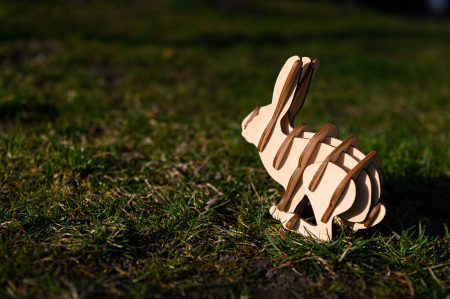 Paște - Iepurașul de Paști - Easter Bunny - SP02