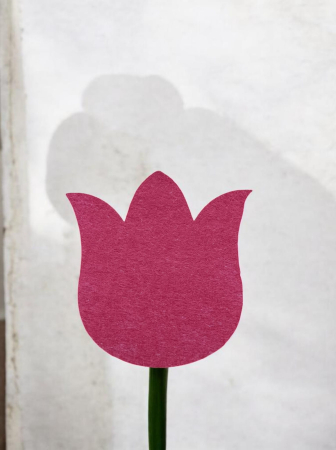 Fetru - Lalea din fetru roșu carmin,grosim 2 mm