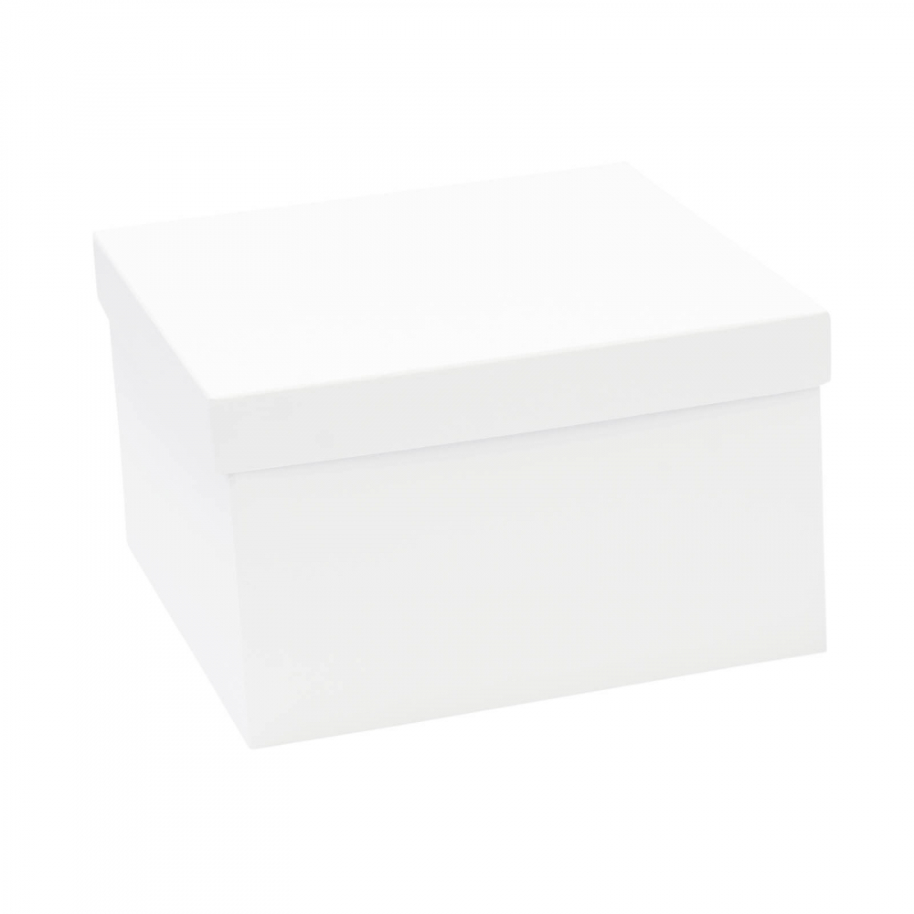 Cutie telescopica nude pentru cadouri [1]