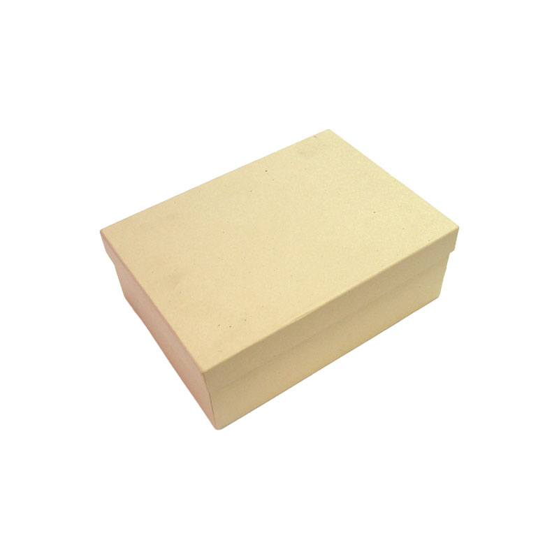 Cutie pentru incaltaminte [2]