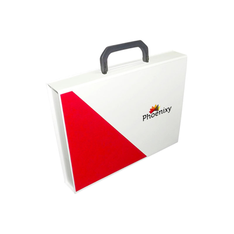 Cutii cu maner - Cutie cu maner Phoenixy