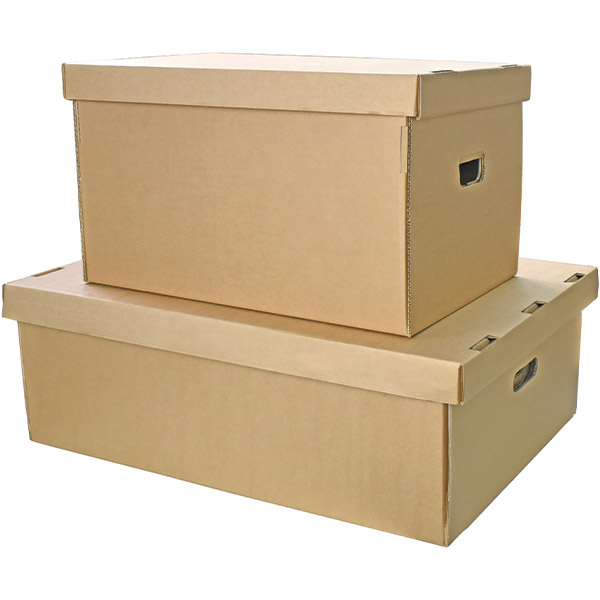 Cutie Carton Arhivare Cu Capac Detasabil [2]