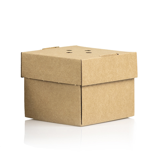 Cutie Carton Burger Premium [2]