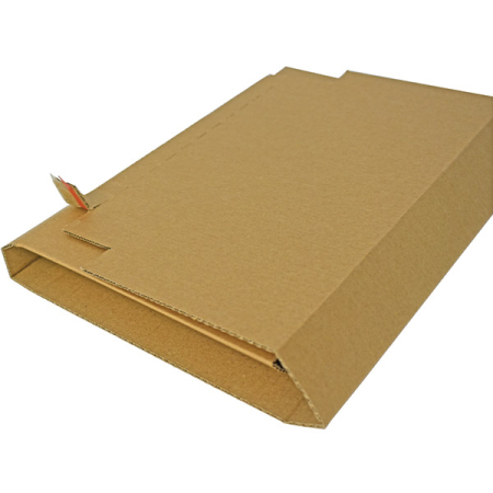 Cutie Carton cu Lipire pentru Transport Carti [3]