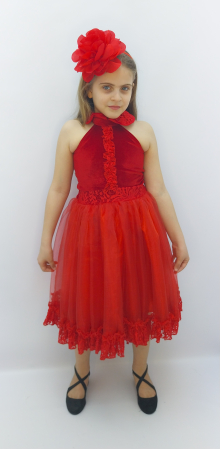 rochie-rosie-eleganta-fetite-tul-eveniment-serbare-aniversare-copii-dadas-romania.jpg [1]