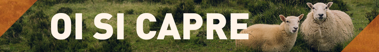 Oi si capre