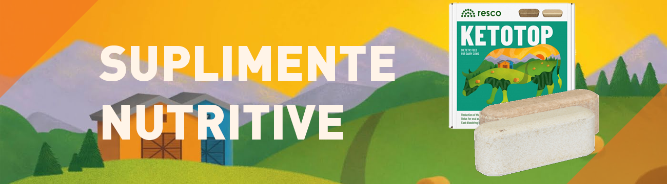 Suplimente nutritive