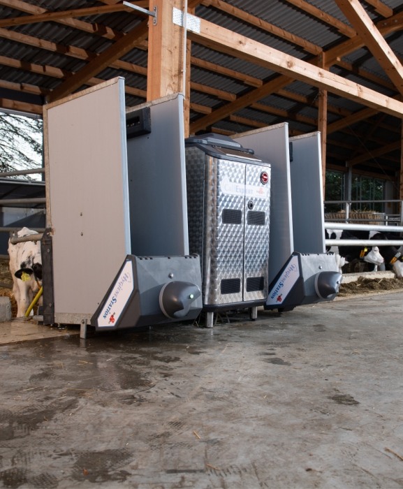 Automat alaptare vitei, Holm&Laue CalfExpert [17]