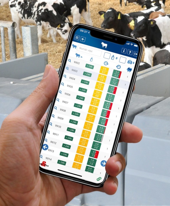 Automat alaptare vitei, Holm&Laue CalfExpert [4]