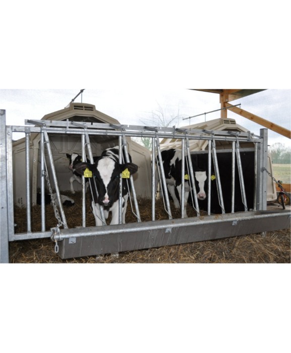 Boxa comuna pentru 5-7 vitei, Calf-Tel MultiMAX, cu sina de transport [3]