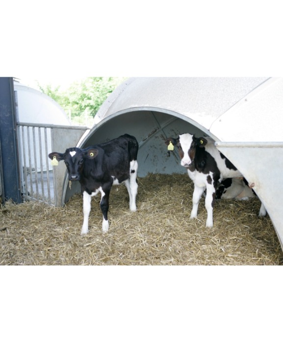 Boxa comuna vitei tip iglu, H&L, din fibra de sticla [5]